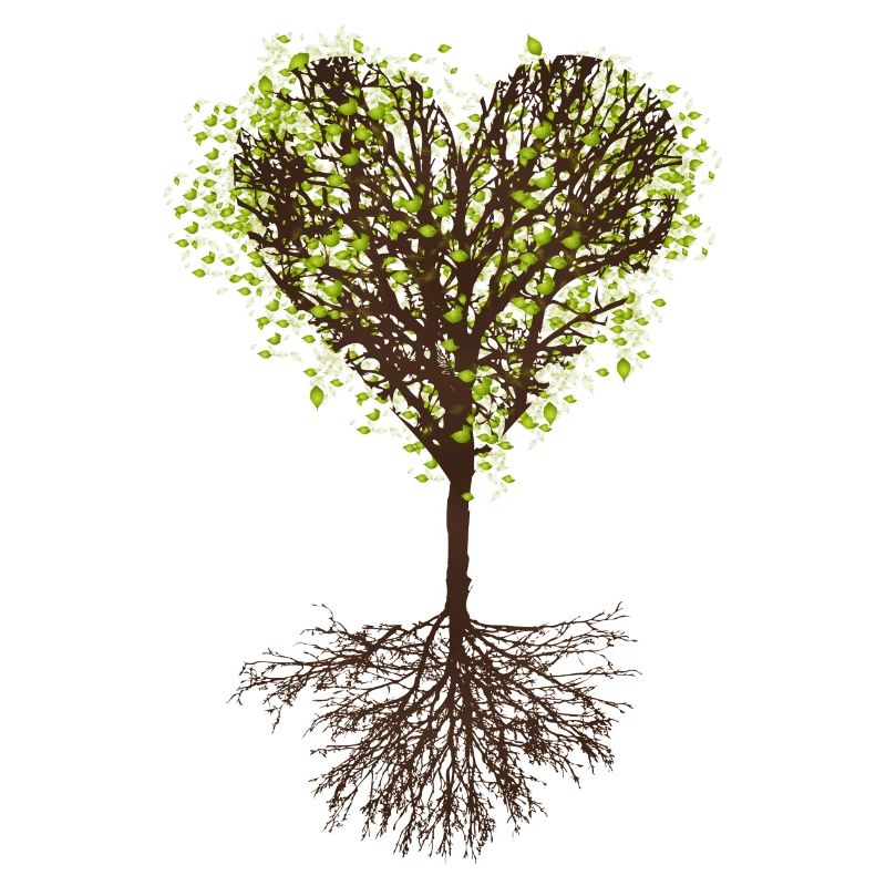 heart-shaped treetop with leaves and root