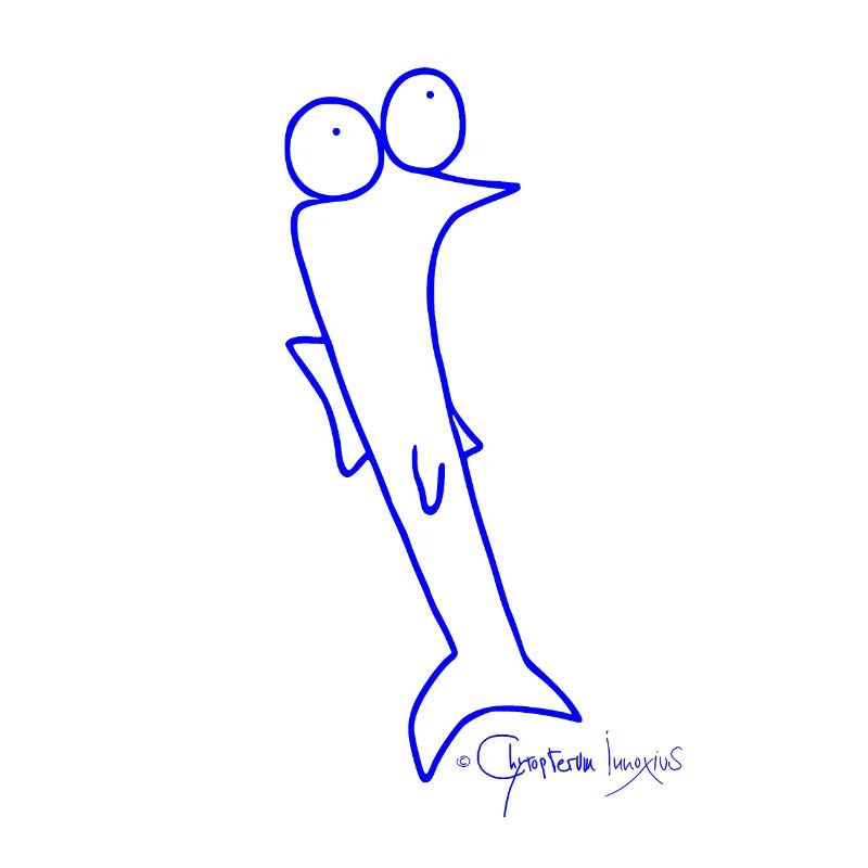 Roach - Piscis Rutilus