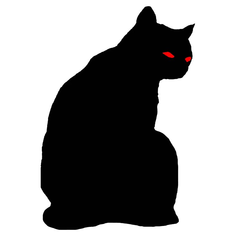 Black cat