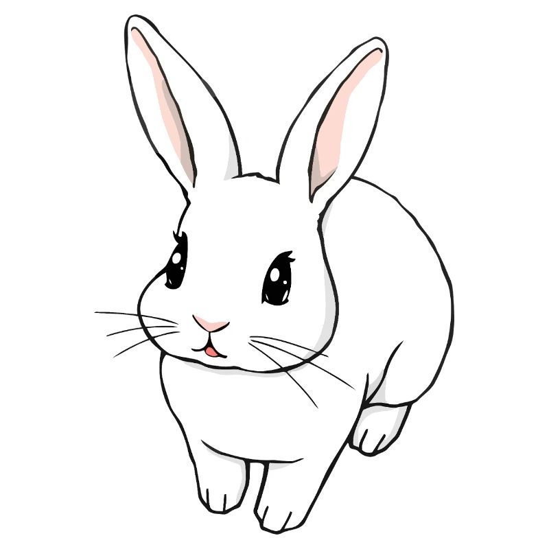 Cute and Expressive Bunny - Cute Illustration