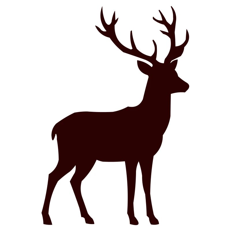 roe deer