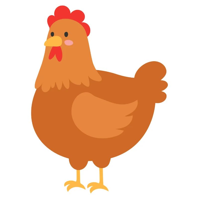 chicken