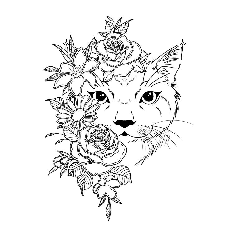 Chat