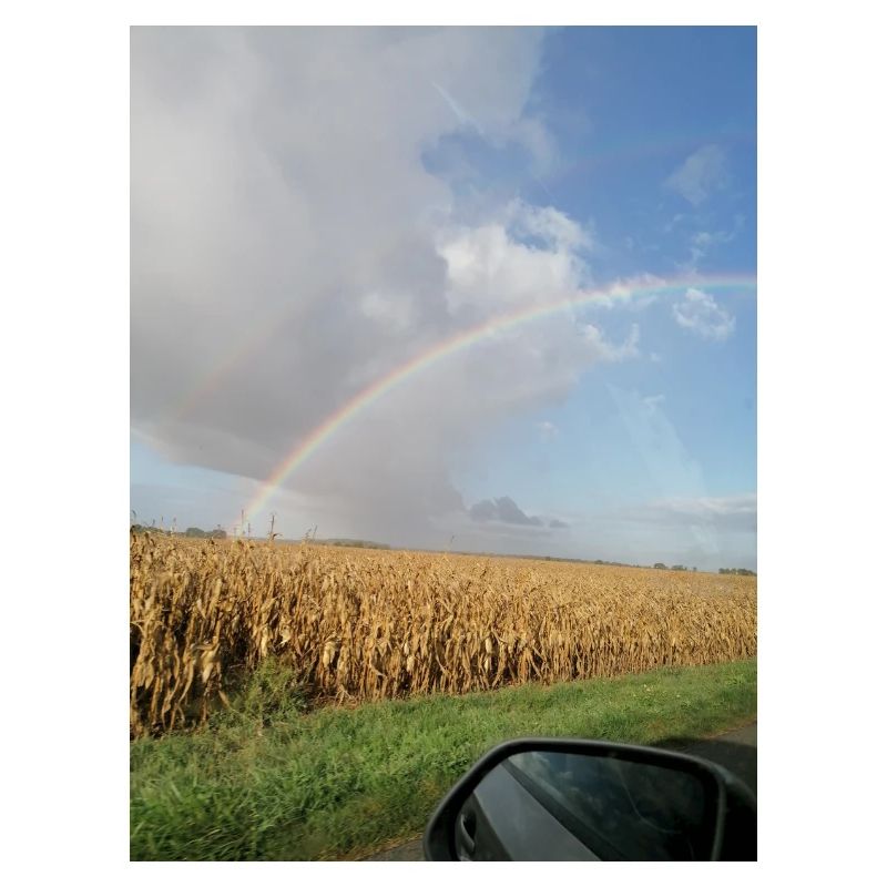 Rainbow on the road and wheat fields
