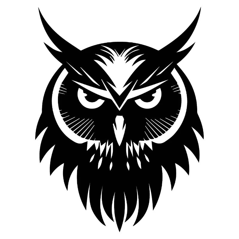 Eule Eulen Vogel Vögel