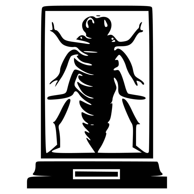 Insect Museum