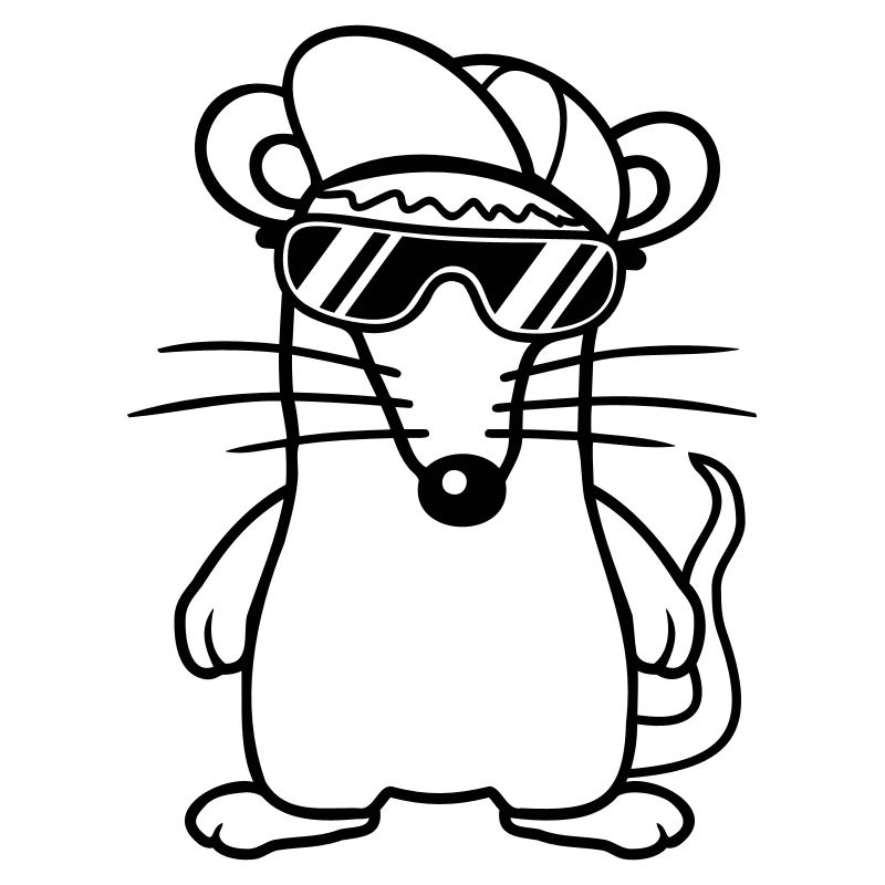 Mouse Sunglasses Cool Cappy Cap Hat Teens