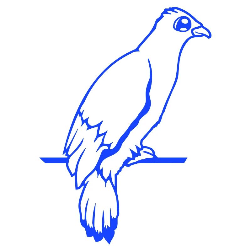 Bird Raven Dove Sitting Cable Hawk Eagle Birdie