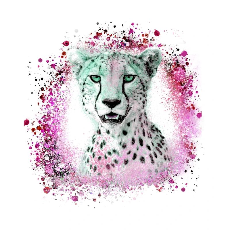 léopard, chat, chat sauvage, graffiti, peinture, rose
