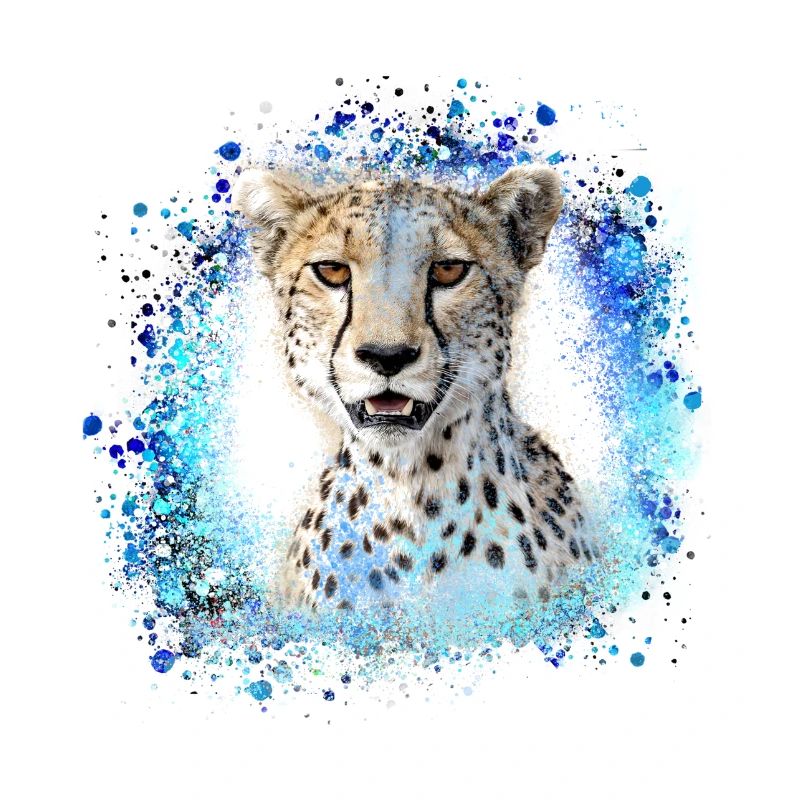 léopard, chat, chat sauvage, graffiti, peinture, bleu