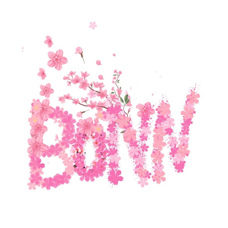 Kirschblüte,blumen,blüte,Blume