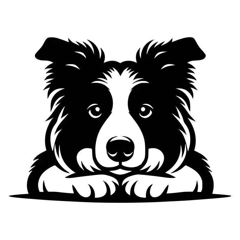 Lying Border Collie Vector Design