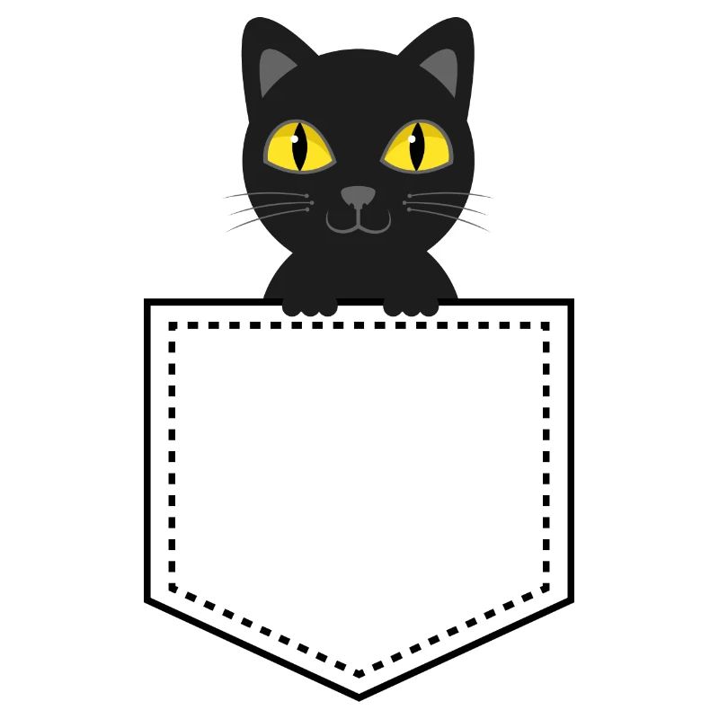Taschentier schwarze Katze