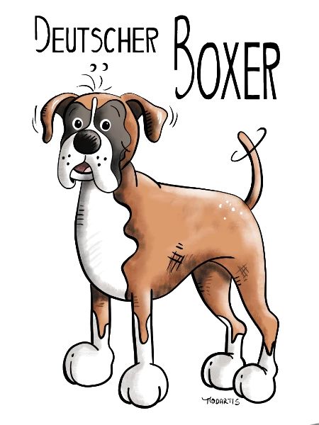 Deutscher Boxer