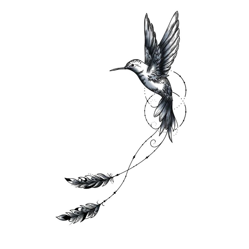 hummingbird feathers geometry