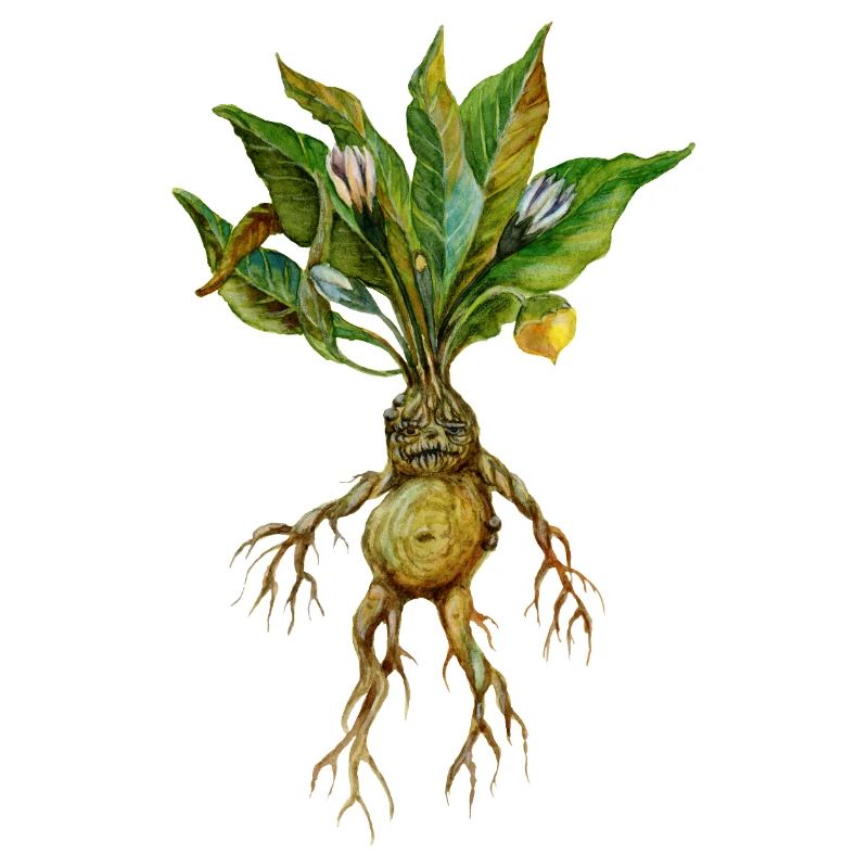 Grim Root Creature Fantasy Design