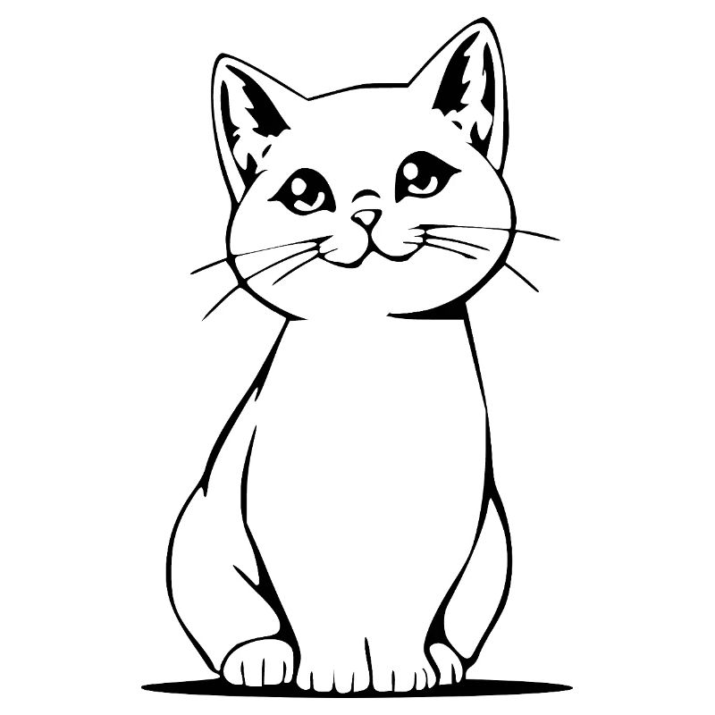 Cadeau de Noël pour un chat Noir et Blanc pour chat
