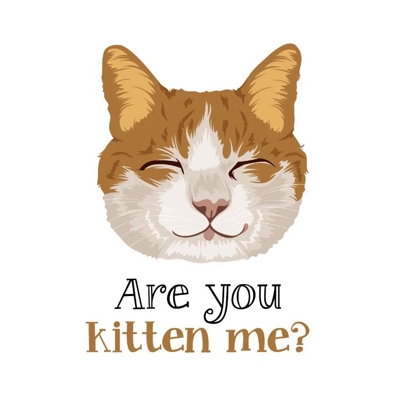 Êtes-vous chaton moi chat - Poster