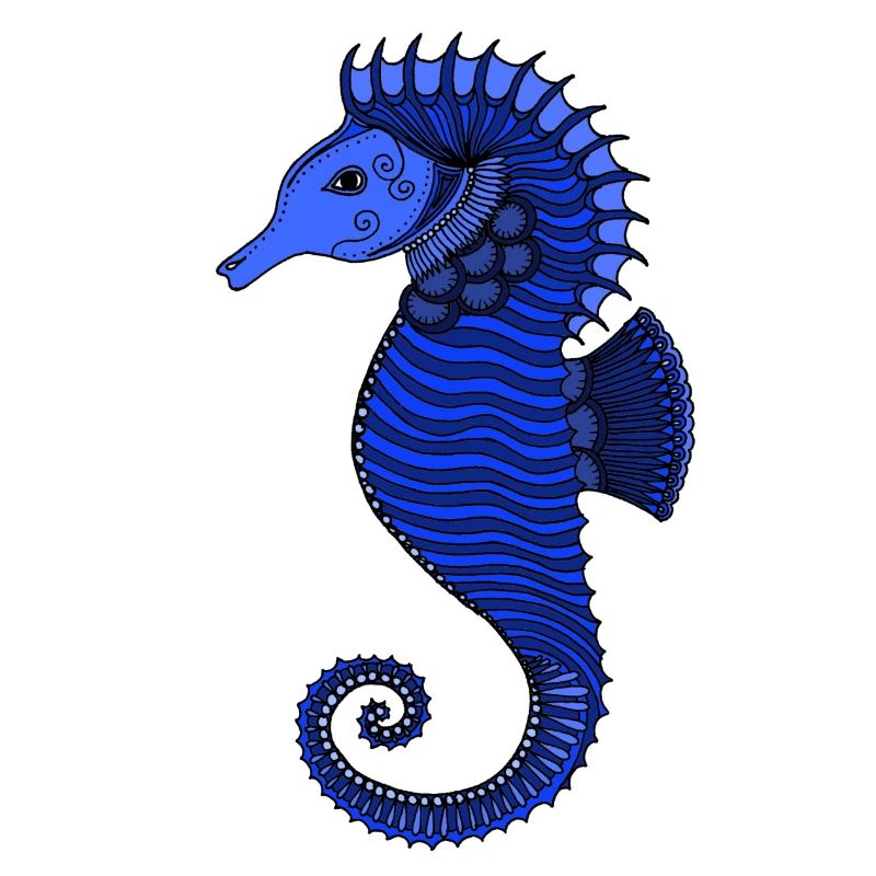 Hippocampe bleu