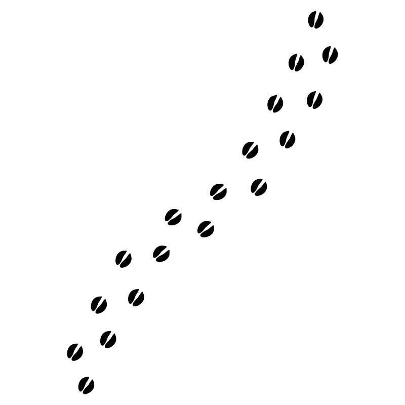 Des traces de chevreuil