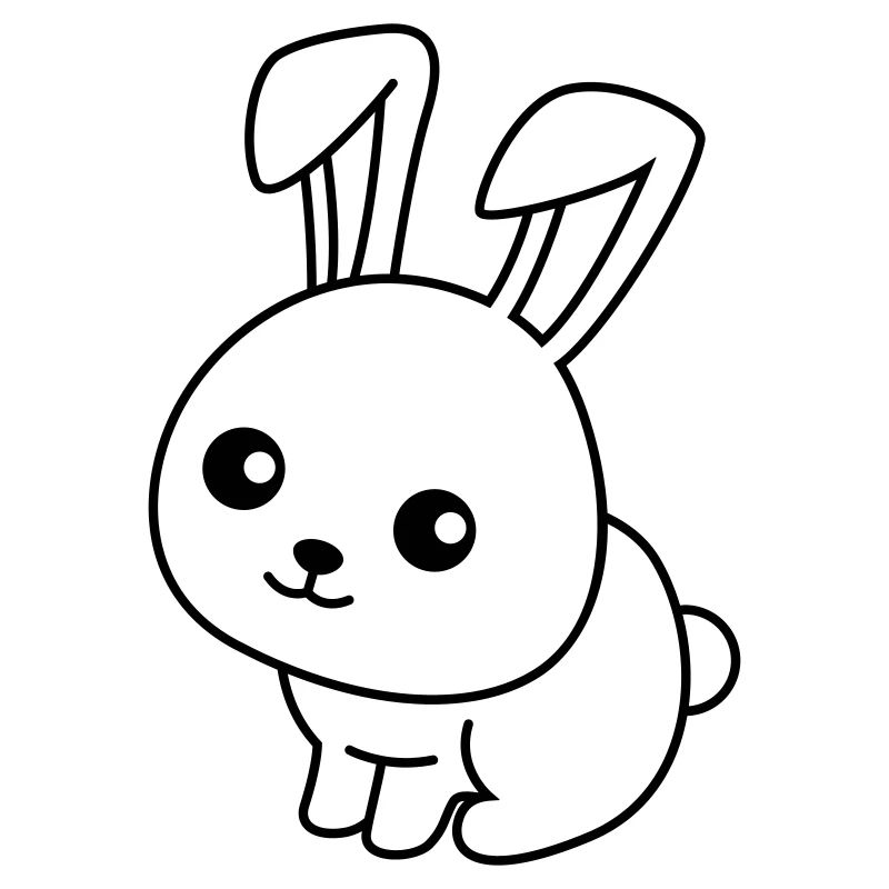 Rabbit Comic Animal