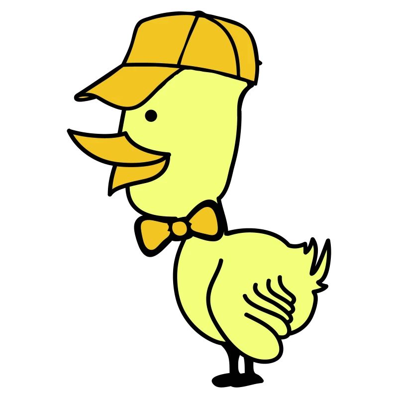 Bonnet de canard