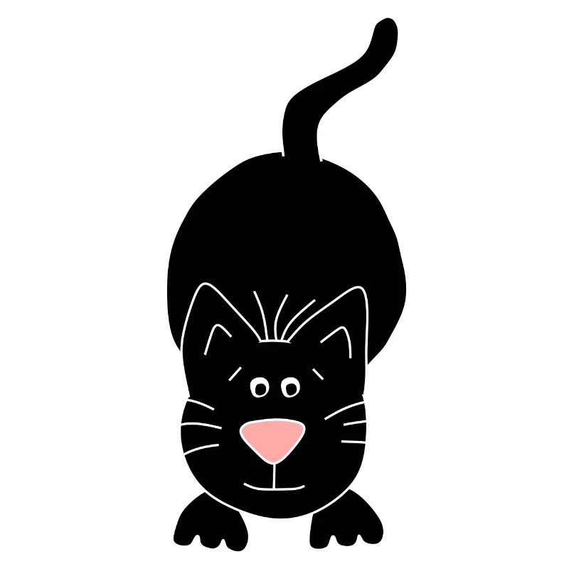 black cat