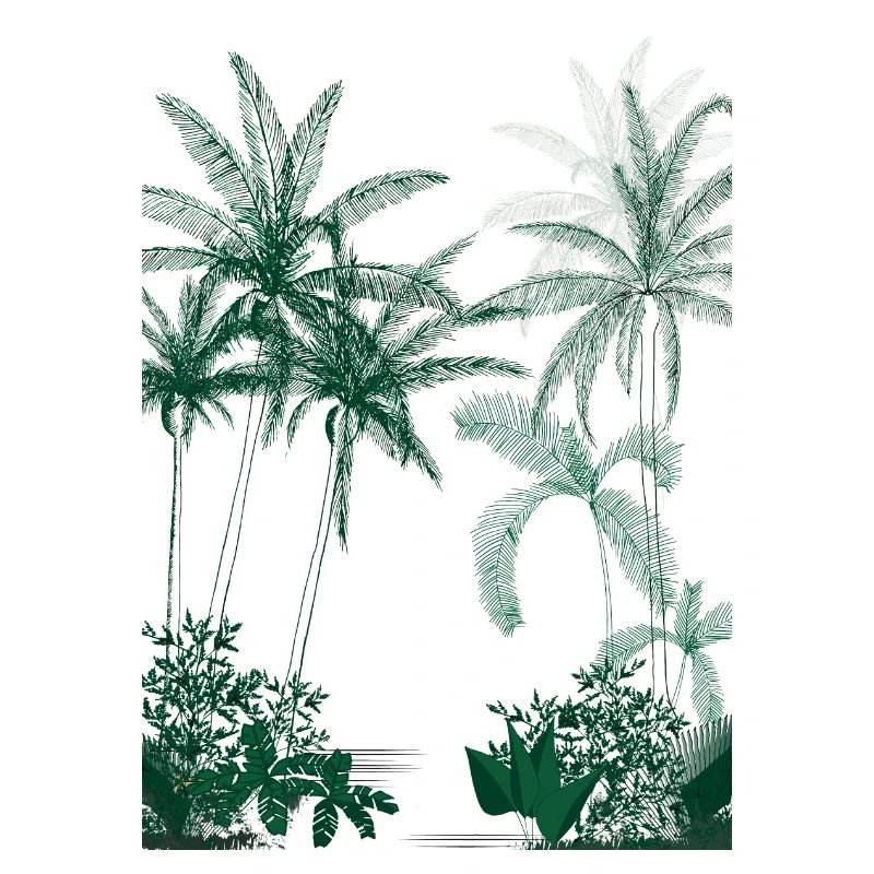 Rainforest Green Palm Trees