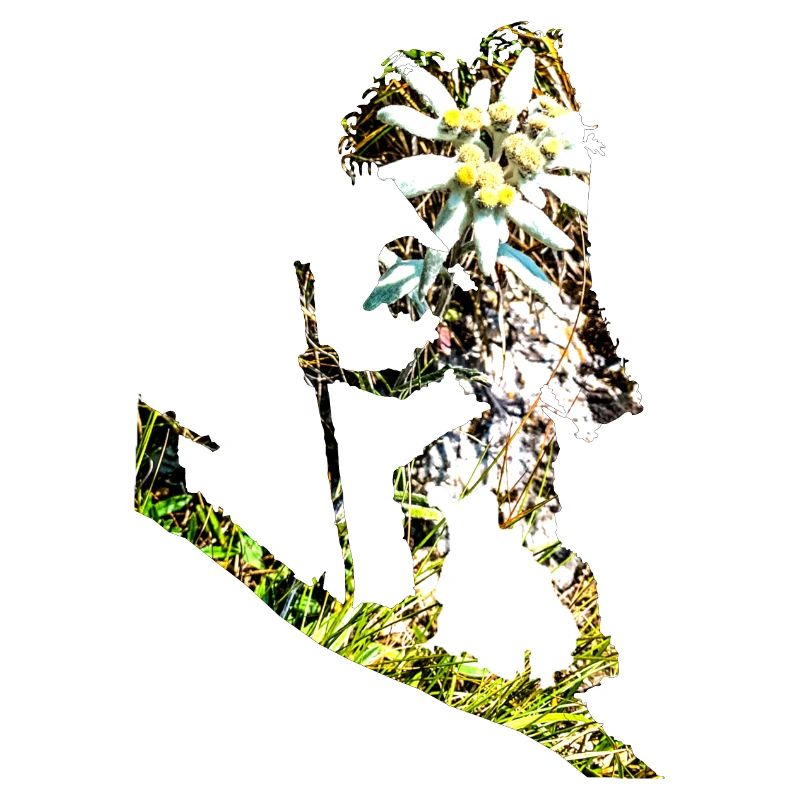 Bring mir ein Edelweiss
