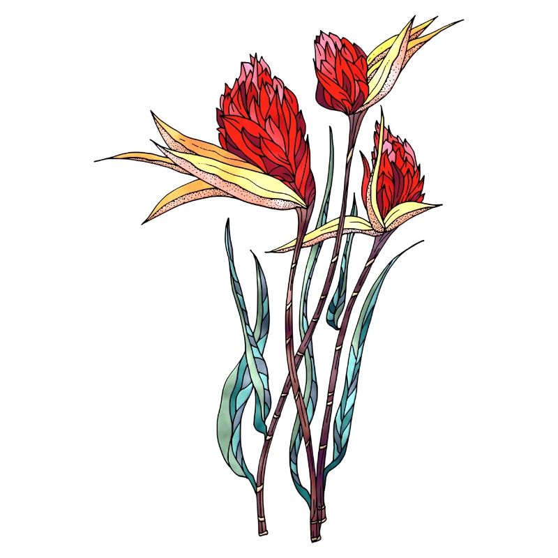 Fleur