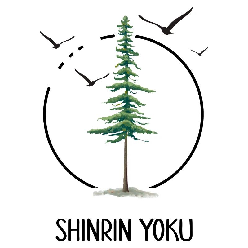 forest bathing forest shinrin yoku forest walker forest bath