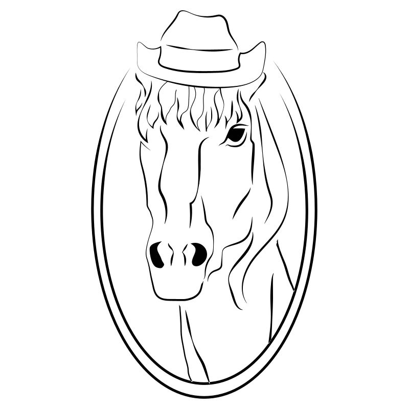 Cooles Pony
