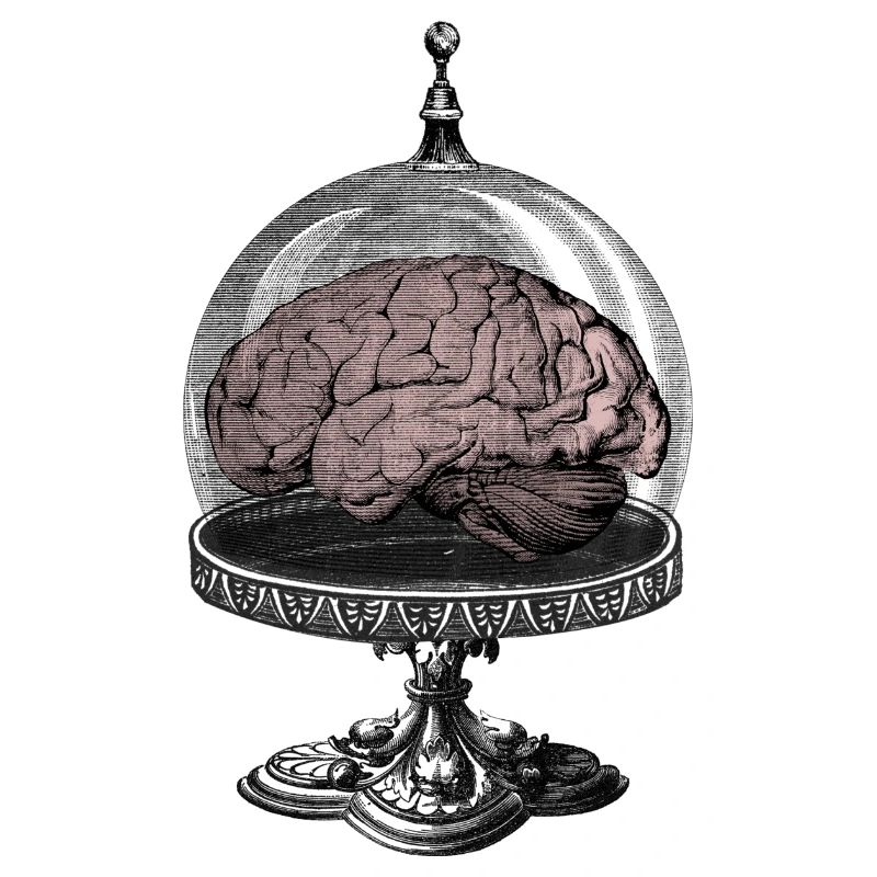 Monster Brain Horror Science-Fi Design