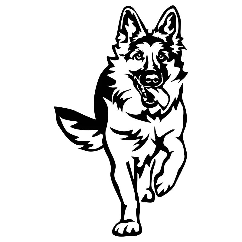 German Shepherd