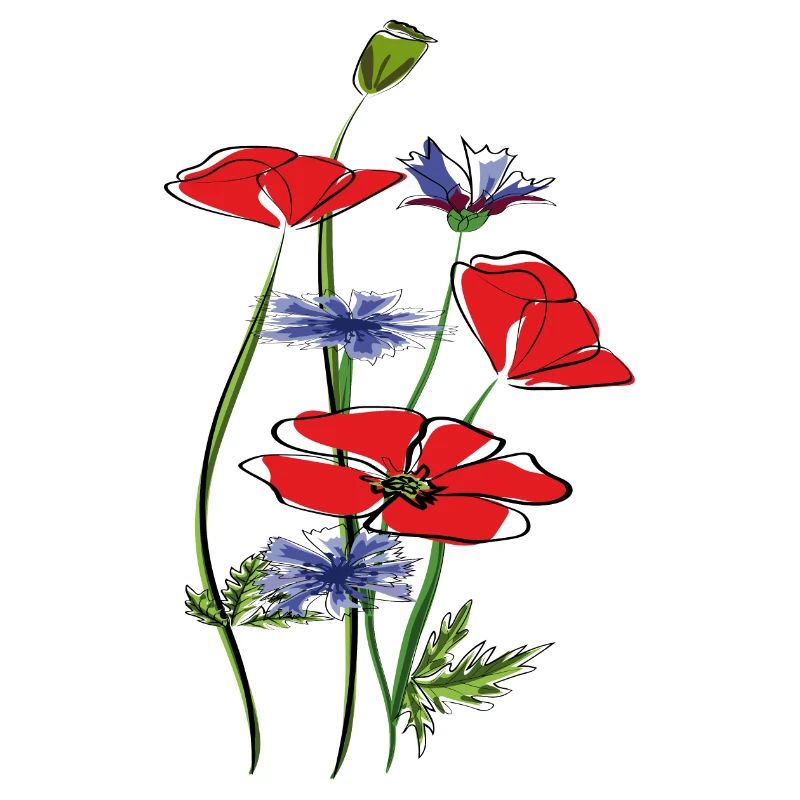 Coquelicots et bleuets en été