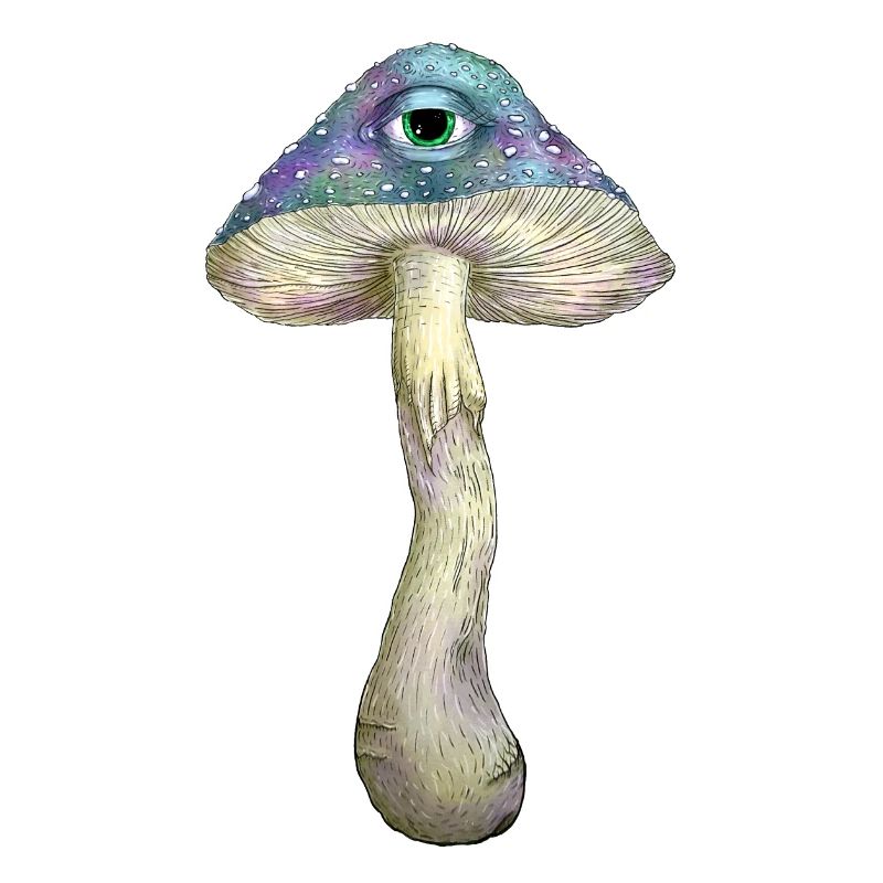 Einäugiger Regenbogenpilz