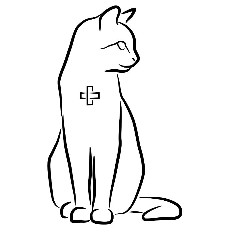 Cat First Aid