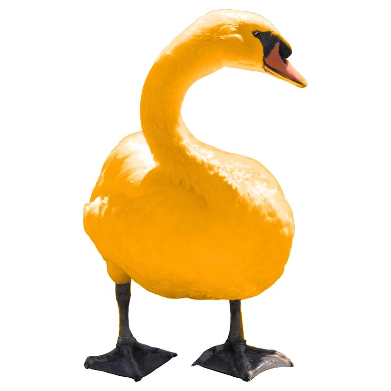 Eleganter Schwan Kunstdruck