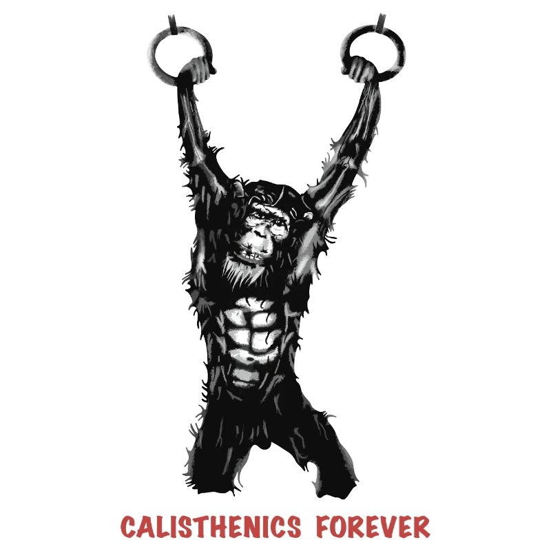 Calisthenics Evolution - Gymnastikringe