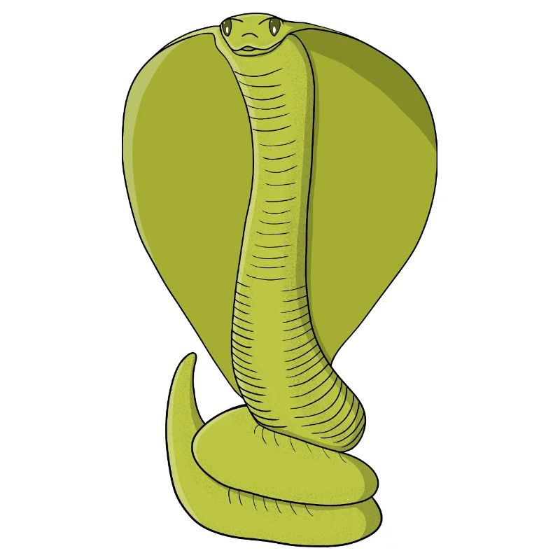 Cobra vert citron vibrant