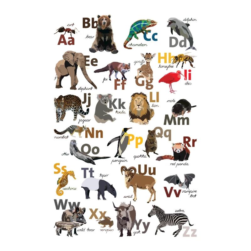 ABC poster englisch
