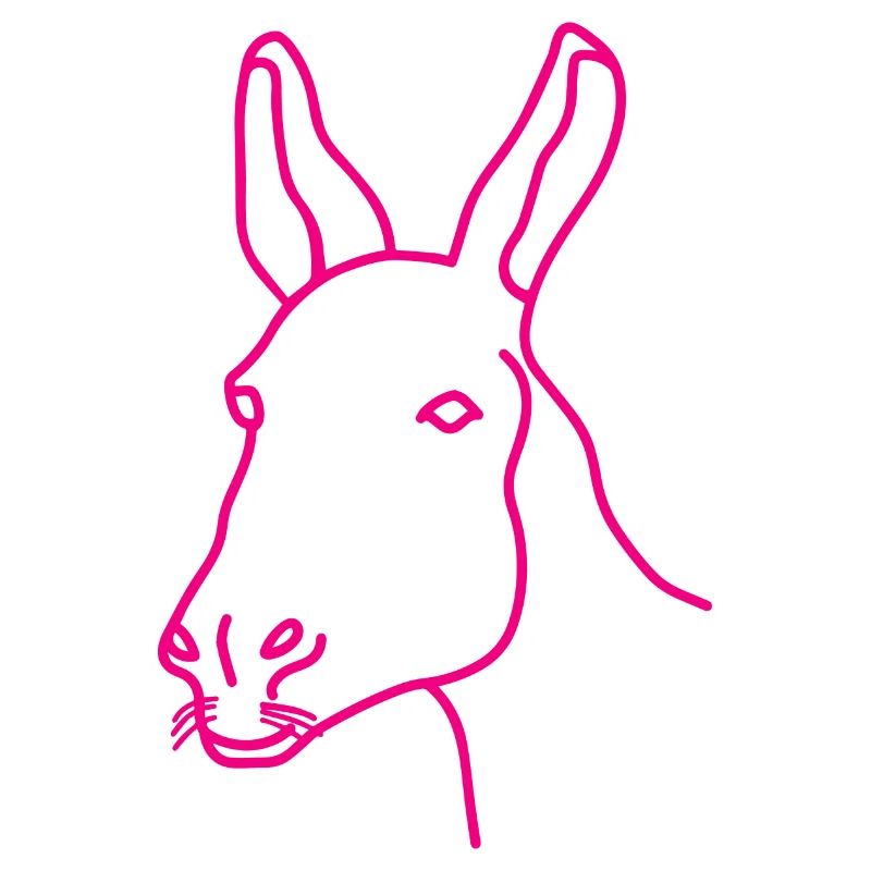 Donkey Esel