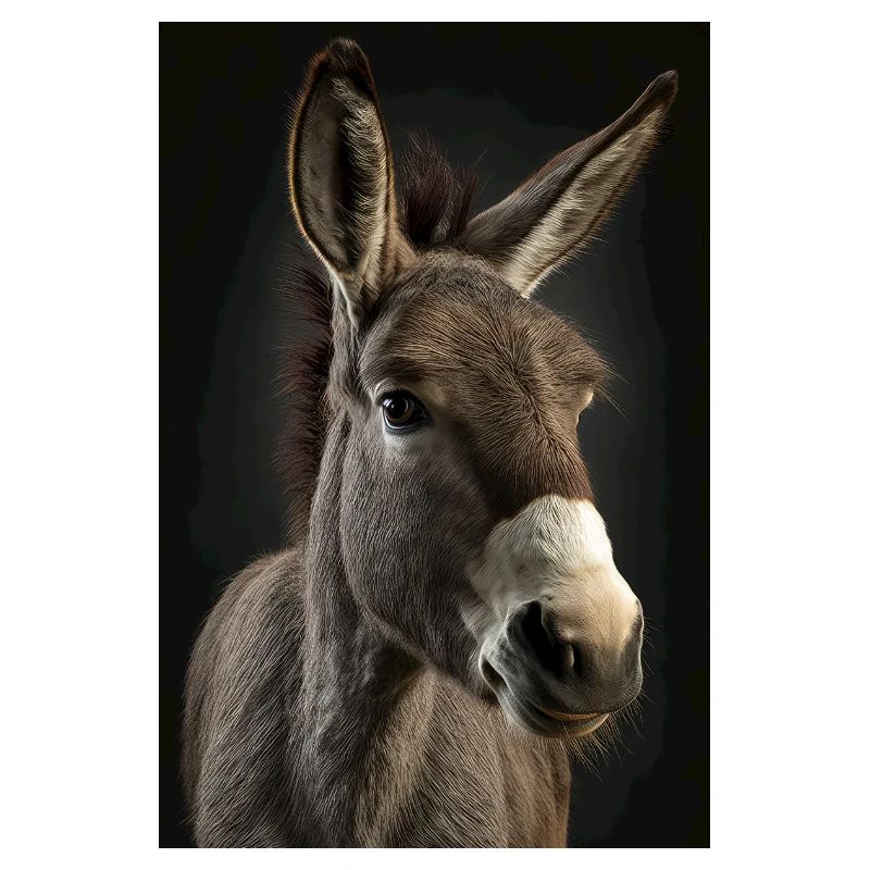 Donkey Realistic Cool
