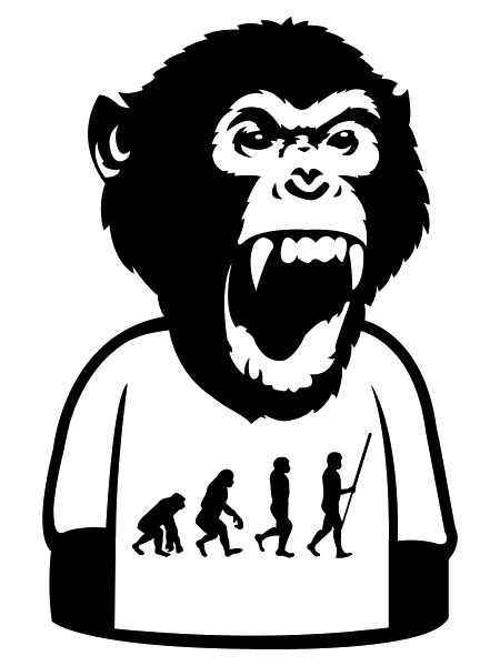 Affe Evolution