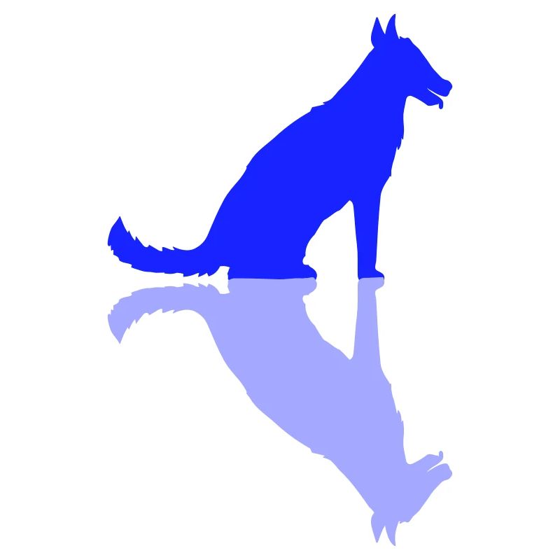 Dog Mirrored Shadow Reflection