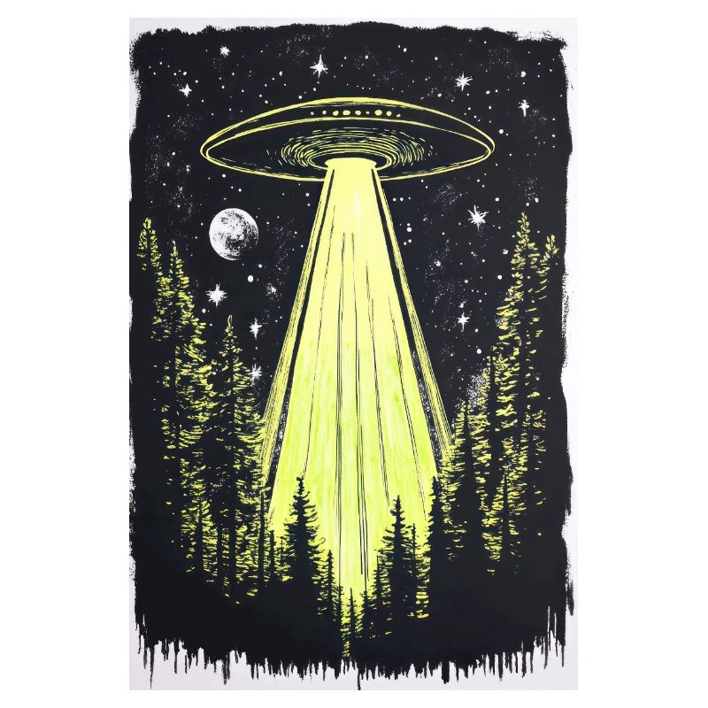 UFO in den Mitternachtskiefern