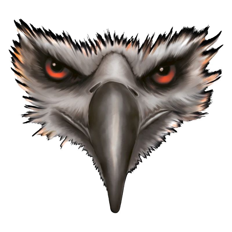 Cadeau Eagle Eagle Head