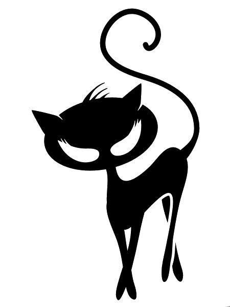 A black cat