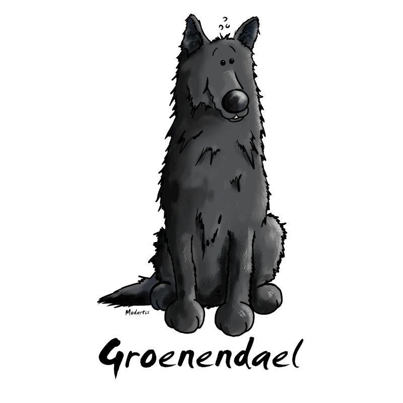 Cute Belgian Shepherd Dog