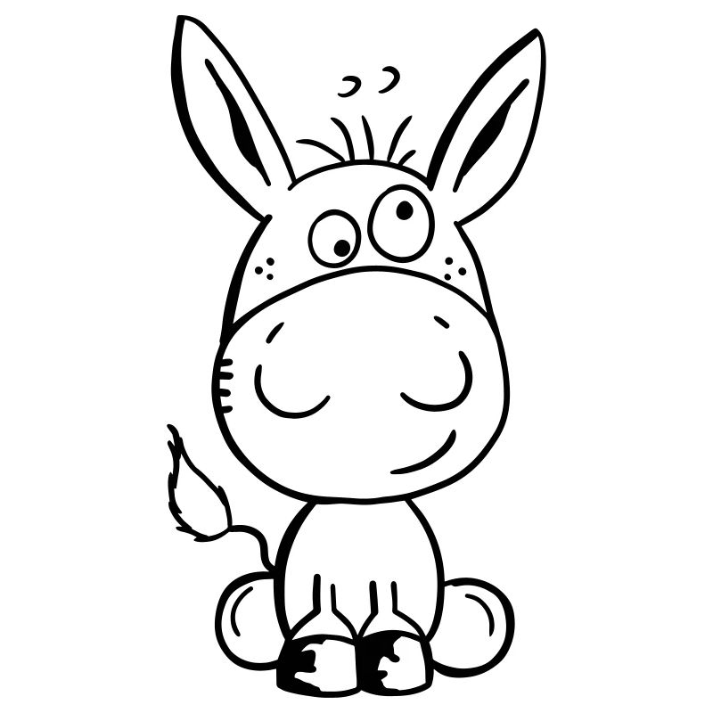 Petit âne - Bébé - Cadeau - Dessin animé